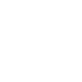 Apex Development Group